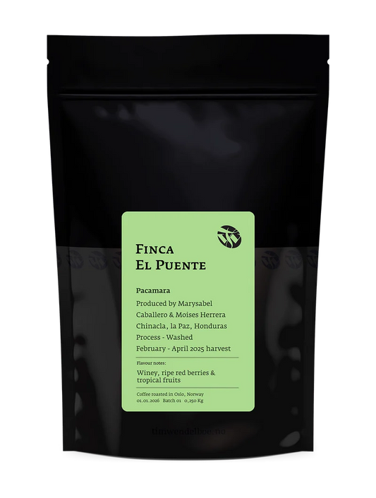 Finca el Puente Pacamara 250g